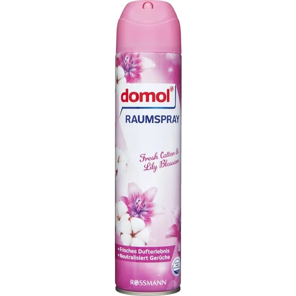 Raumspray  300ml versch. Düfte